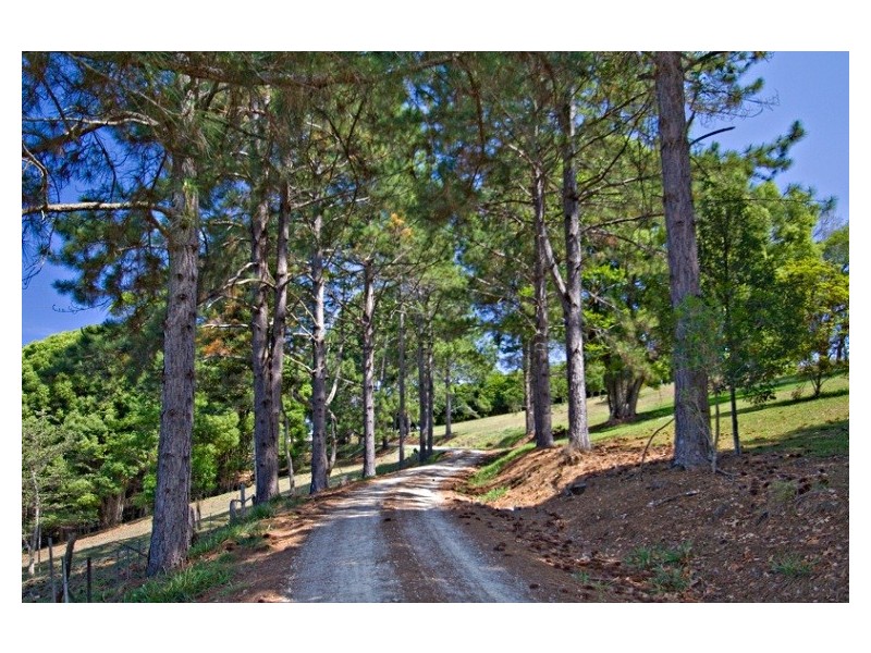 412 Repentance Creek Road, Repentance Creek NSW 2480