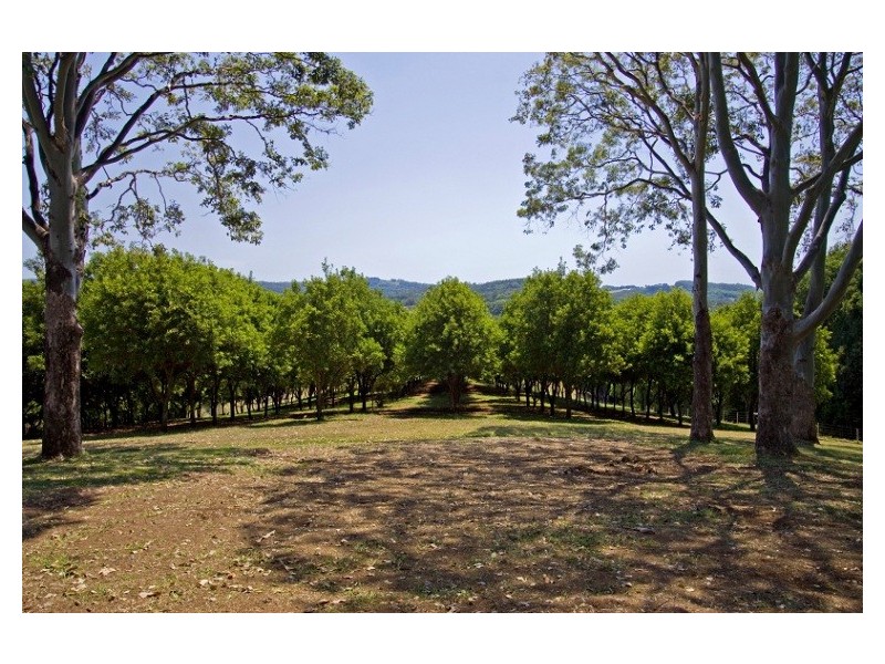 412 Repentance Creek Road, Repentance Creek NSW 2480