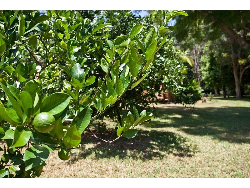 110 McGettigans Lane, Ewingsdale NSW 2481