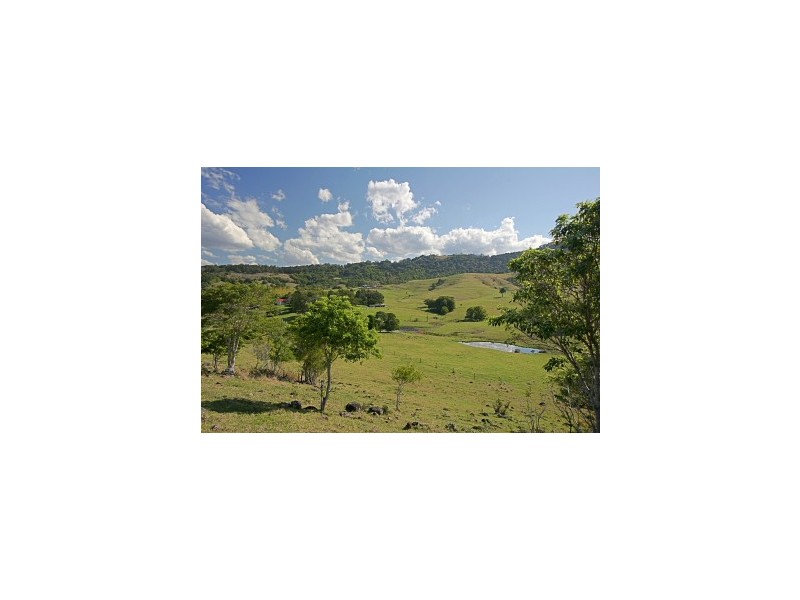 174 Dingo Lane, Myocum NSW 2481