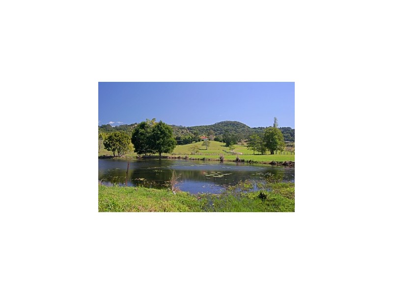 174 Dingo Lane, Myocum NSW 2481