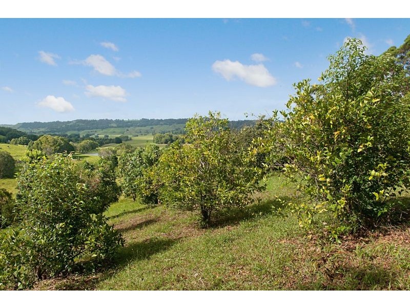 371 Tyagarah Road, Myocum NSW 2481