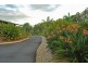 218 Old Byron Bay Road, Newrybar NSW 2479