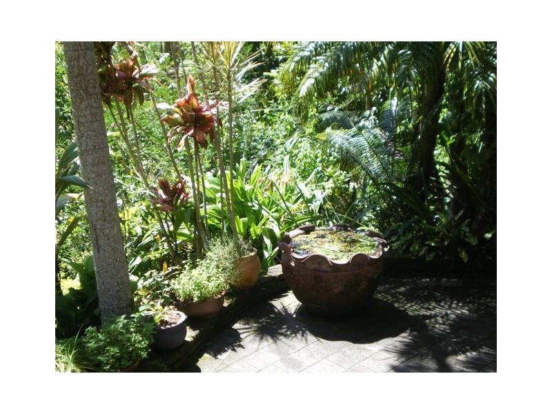 1300 Main Arm Road, Mullumbimby NSW 2482