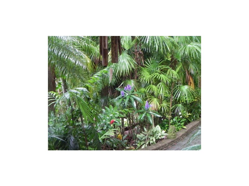 1300 Main Arm Road, Mullumbimby NSW 2482