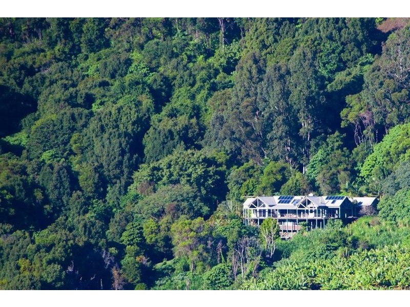 663 Left Bank Road, Mullumbimby NSW 2482