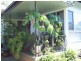 75 Shirley Street, Byron Bay NSW 2481