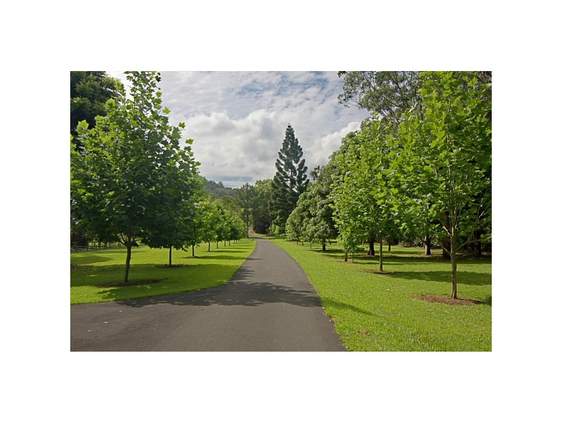 226 Dingo Lane, Byron Bay NSW 2481