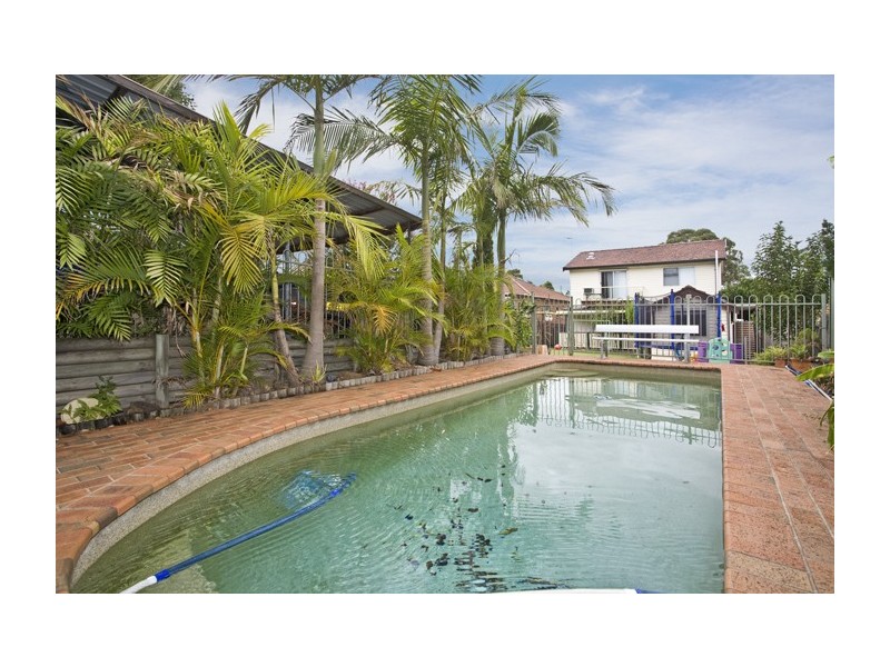 66 Hardwicke Street, Riverwood NSW 2210