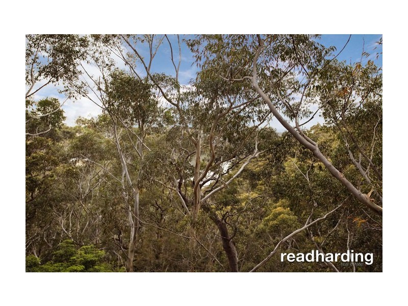 22 Wayne Avenue, Lugarno NSW 2210