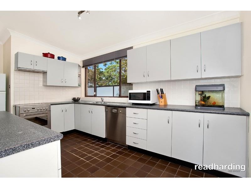 13 Raftree Street, Padstow Heights NSW 2211