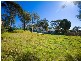 17 Lime Kiln Road, Lugarno NSW 2210