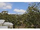 5c Koorabel Street, Lugarno NSW 2210