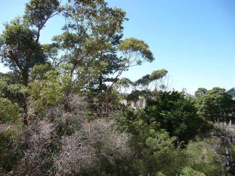 16/22 Wellington Street, Bondi NSW 2026