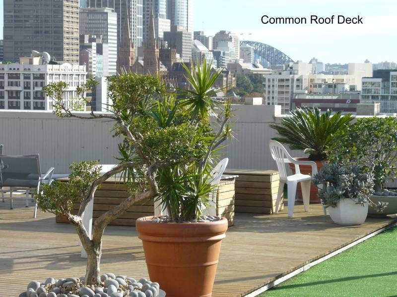 5/227 Crown Street (corner of Burton Street), Darlinghurst NSW 2010