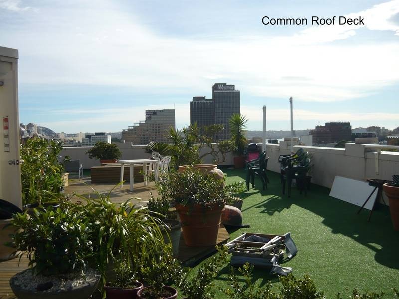 5/227 Crown Street (corner of Burton Street), Darlinghurst NSW 2010