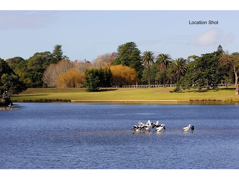 15 Alt Street, Queens Park NSW 2022