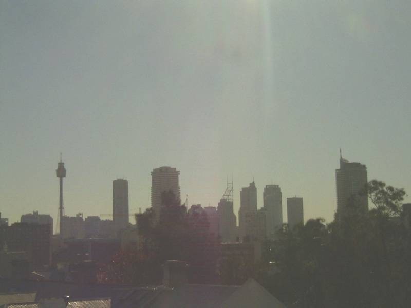 19/8 BENNETTS GROVE AVENUE, Paddington NSW 2021