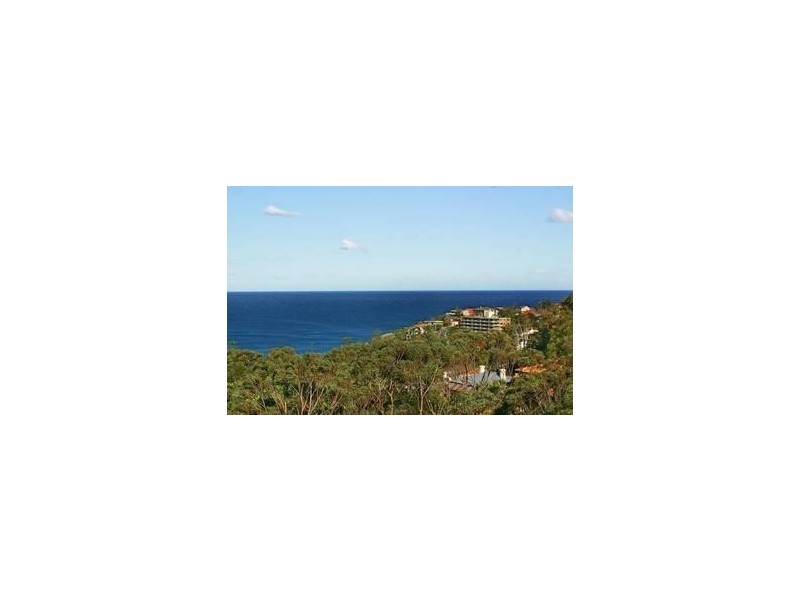 11/47 MURRAY STREET, Bronte NSW 2024
