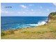 36 Oceanview Avenue, Dover Heights NSW 2030
