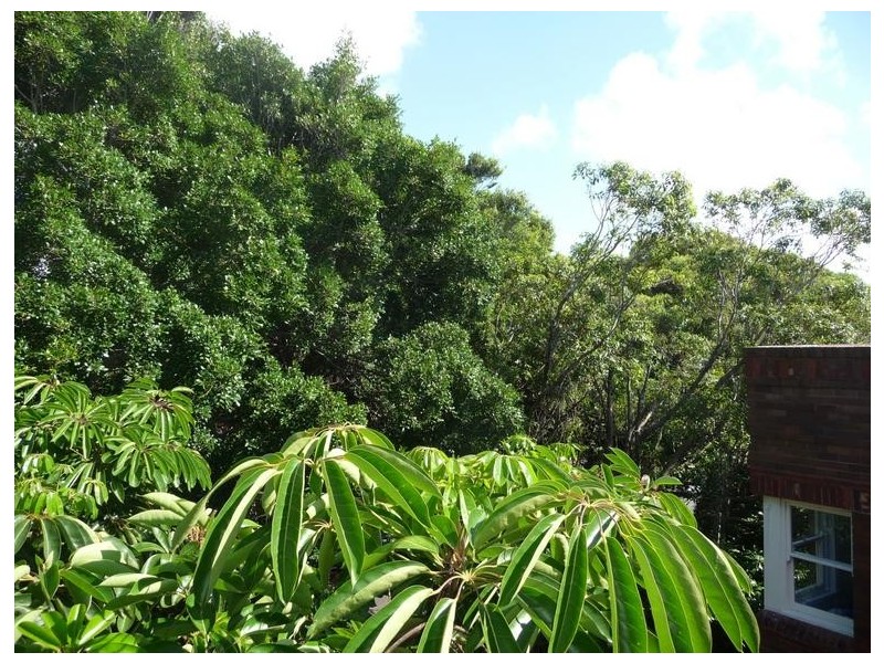 10/6 Ormond Street, Bondi Beach NSW 2026