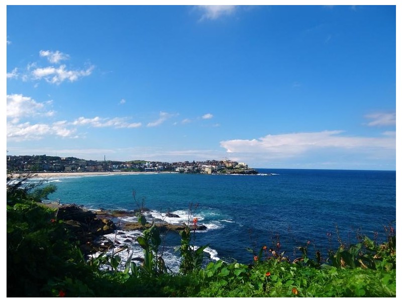 2/23 Wilga Street, Bondi NSW 2026