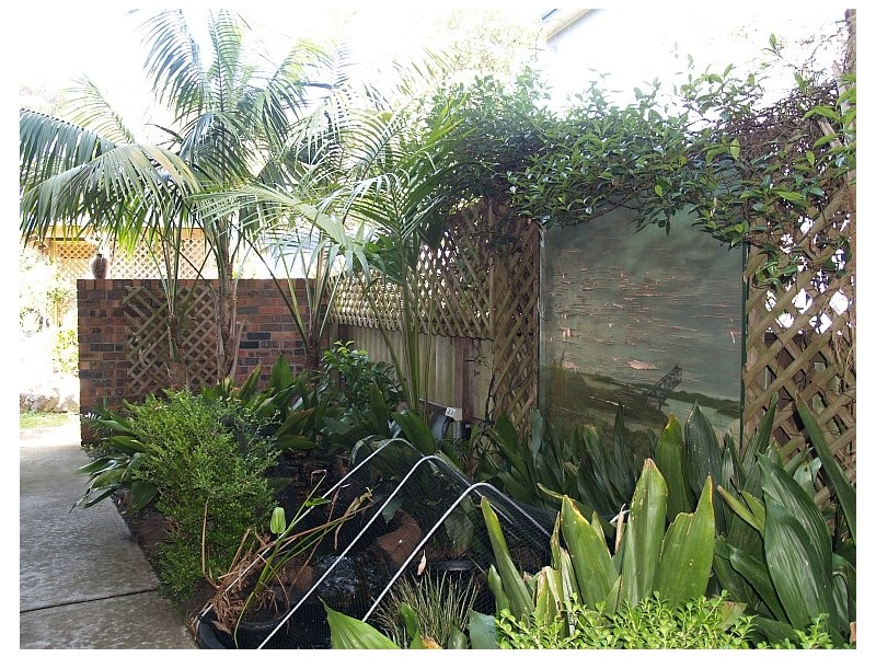 1/66 Warrain Crescent, Currarong NSW 2540