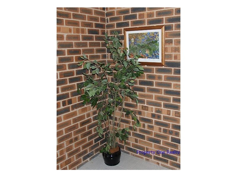 1/3 parks crescent, Callala Beach NSW 2540