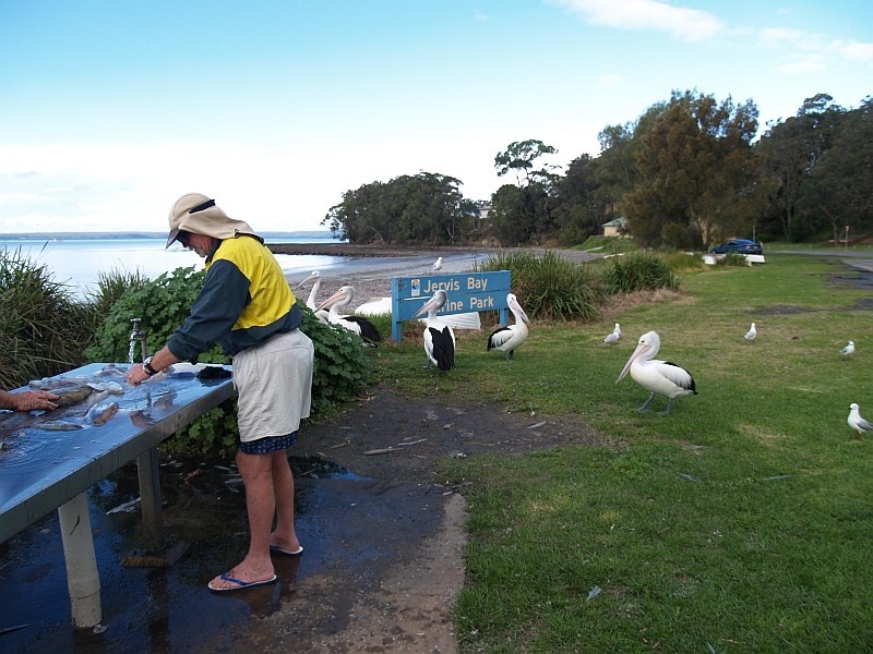 14 Cronin Place, Callala Bay NSW 2540