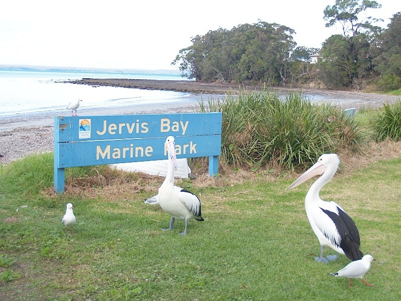 14 Cronin Place, Callala Bay NSW 2540