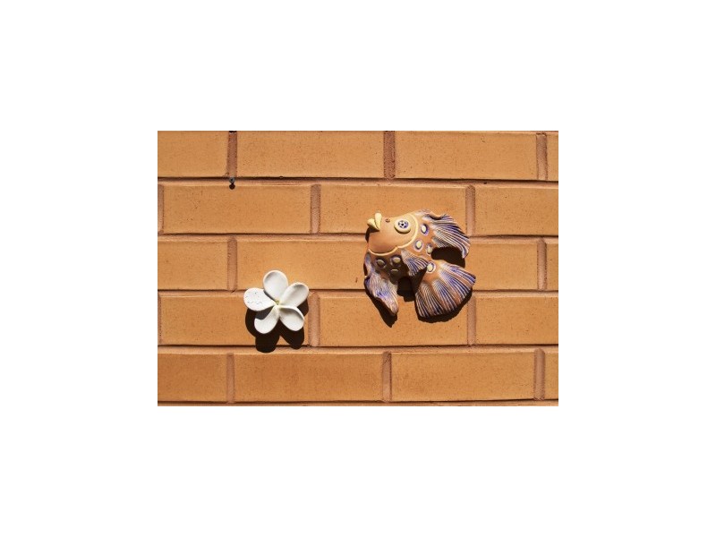 16/10 Monarch Place, Callala Bay NSW 2540