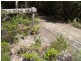 15A Caffery Circuit, Callala Beach NSW 2540