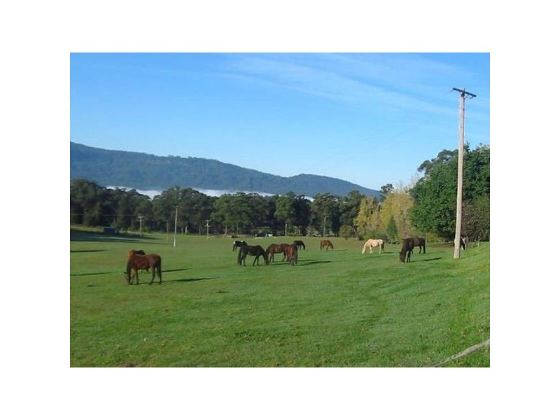 24 Hillcrest View Lane, Kangaroo Valley NSW 2577