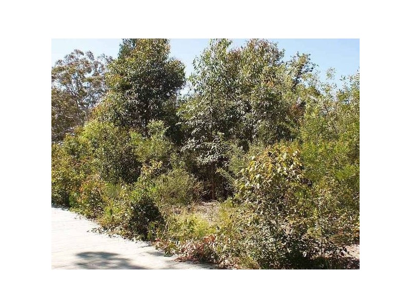 4 Sagewood Row, Callala Beach NSW 2540