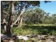4 Sagewood Row, Callala Beach NSW 2540