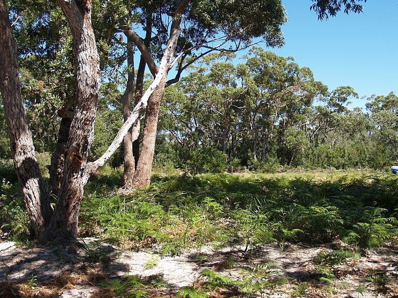 4 Sagewood Row, Callala Beach NSW 2540