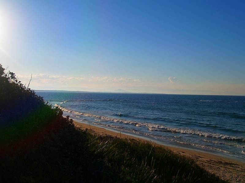 20 Warrain Crescent, Currarong NSW 2540