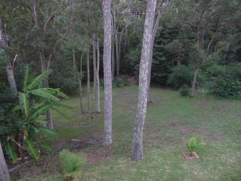 Belmont North NSW 2280