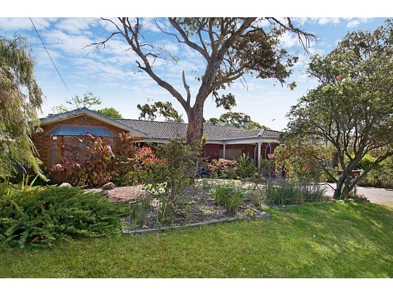 Caves Beach NSW 2281