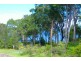 Belmont NSW 2280