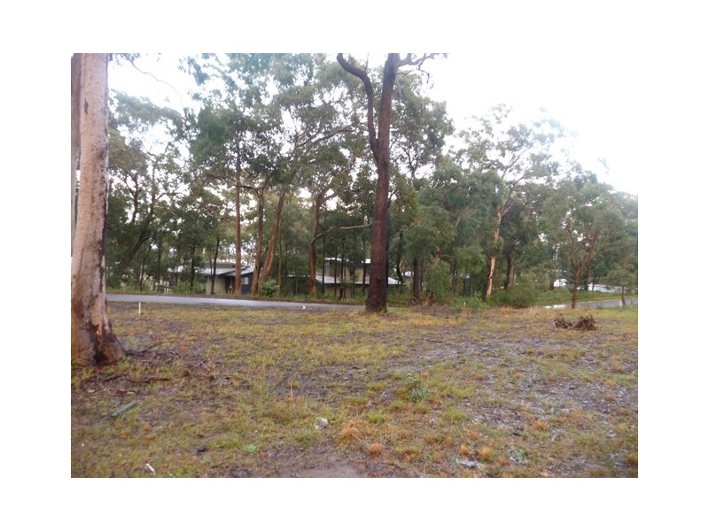 Murrays Beach NSW 2281