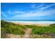 Caves Beach NSW 2281