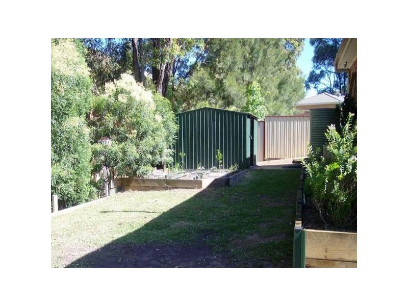 Caves Beach NSW 2281