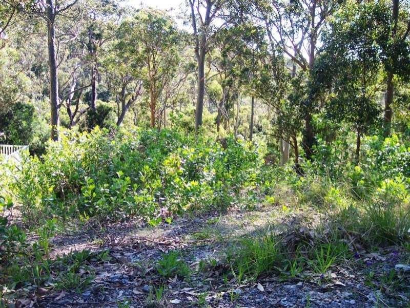 Caves Beach NSW 2281