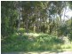 Caves Beach NSW 2281