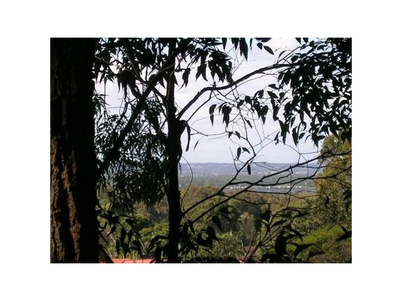 Caves Beach NSW 2281