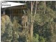 Caves Beach NSW 2281
