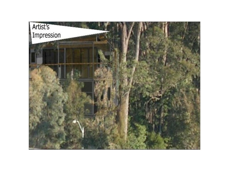 Caves Beach NSW 2281