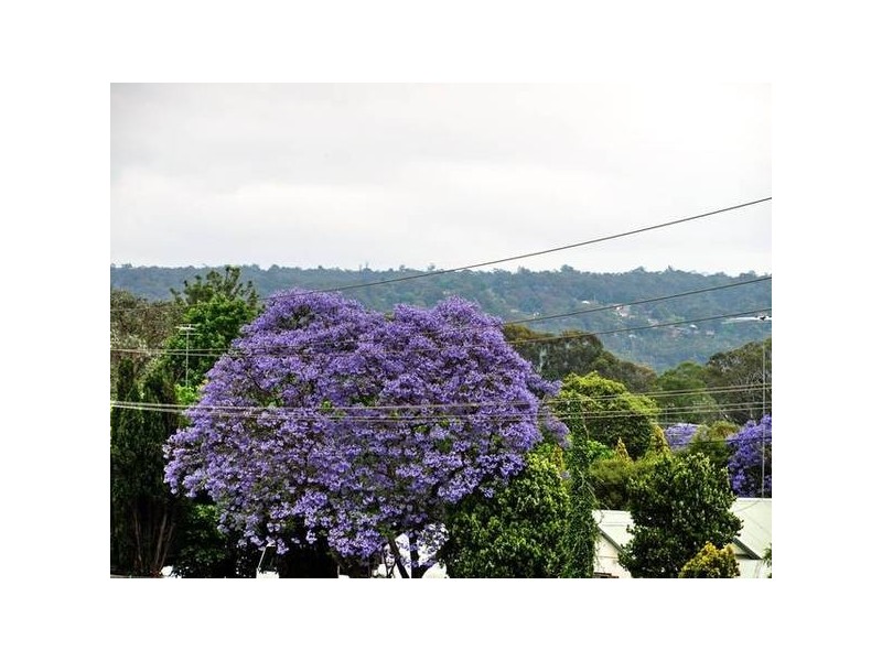 Regentville NSW 2745