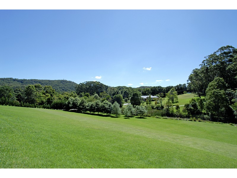 19 Bungendore Road, Picketts Valley NSW 2251